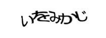 Authentication image
