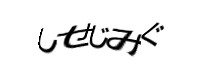 Authentication image